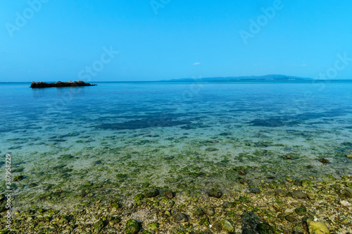 皆治浜の綺麗な海