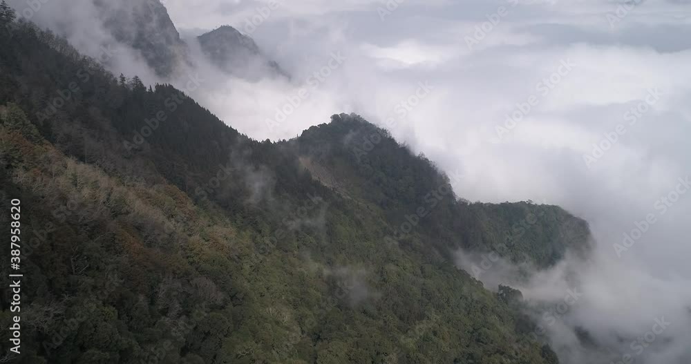 Feb 2018, Alishan National Scenic Area, Chiayi, Taiwan Feb 2018, Alishan National Scenic Area, Chiayi, Taiwan