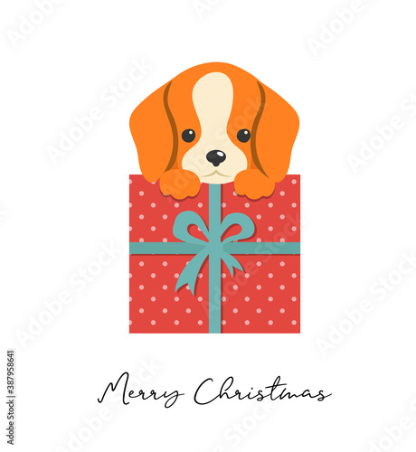 Merry Christmas puppy illustration, cute small dog with a gift box