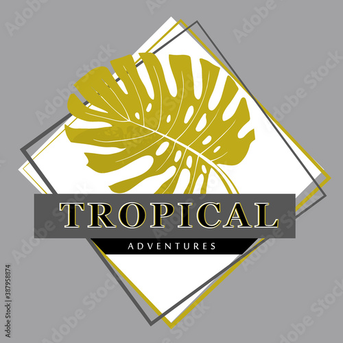 tropical poster with monstera leaf in rhombus and inscription tropical adventures in monochrome for clothing prints and other designs
