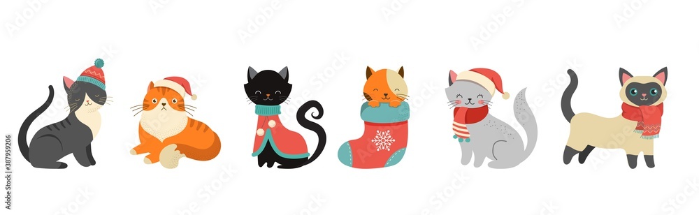 Collection of Christmas cats, Merry Christmas illustrations of cute cats with accessories like a knitted hats, sweaters, scarfs  - obrazy, fototapety, plakaty 