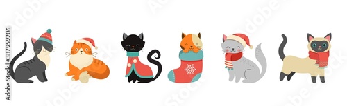 Collection of Christmas cats, Merry Christmas illustrations of cute cats with accessories like a knitted hats, sweaters, scarfs 