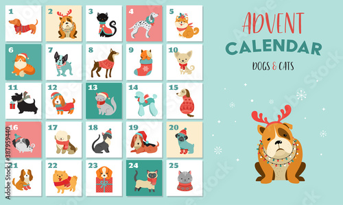 Canvas Print Christmas advent calendar with dogs