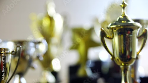 group of golden trophy