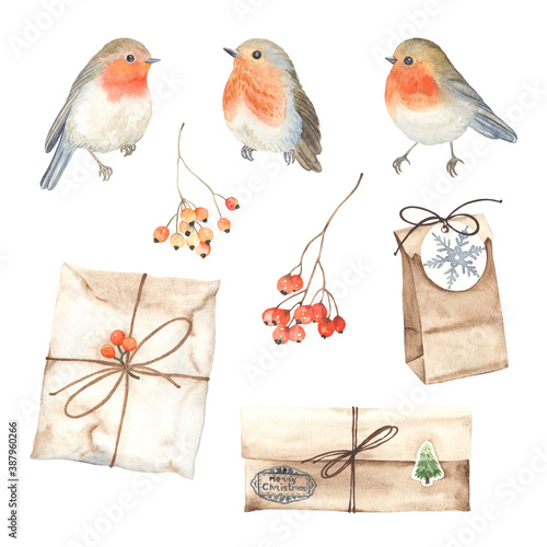 Obraz na plátně Watercolor set of robin birds, gift boxes and branches with berries rowan