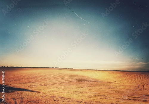 sunset over the field