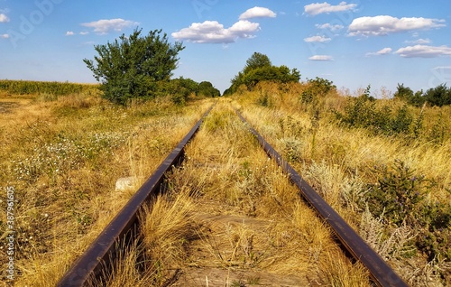 railway in the field