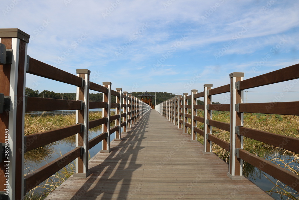 path to the beach