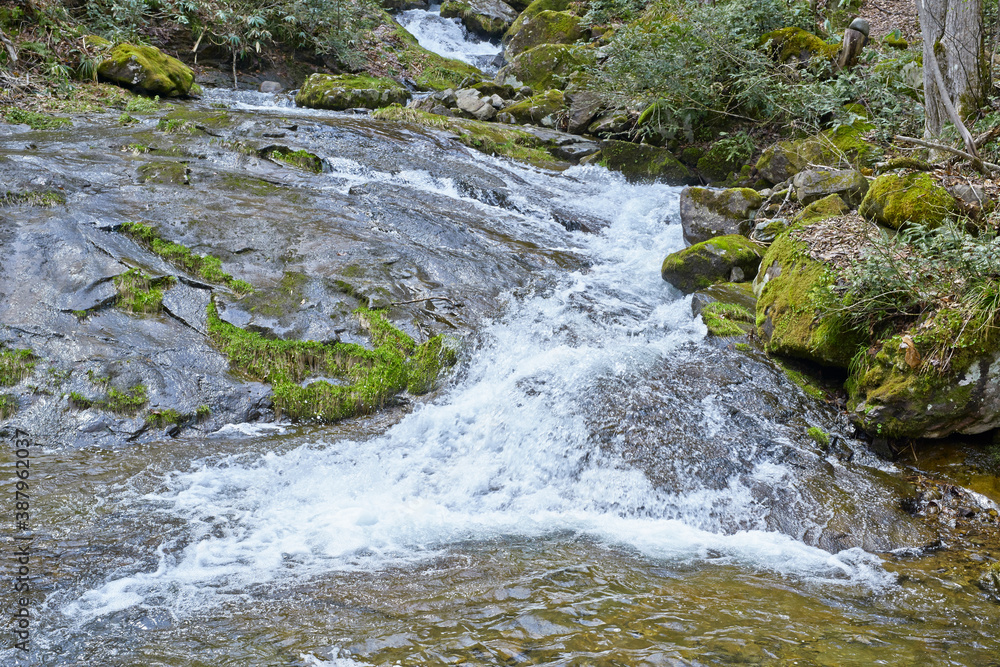 Fototapeta premium 早春の雪解け水が谷川に