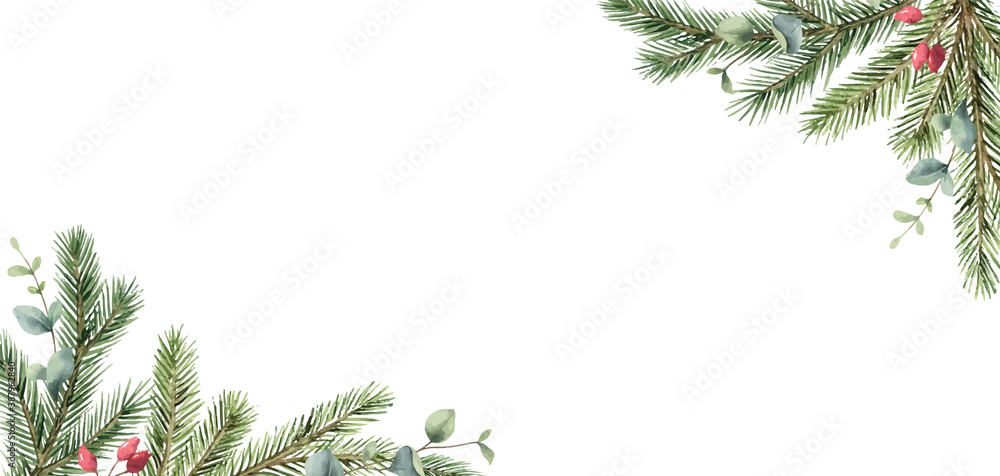 Watercolor vector Christmas card with fir branches and eucalyptus leaves. - obrazy, fototapety, plakaty 