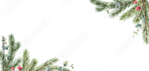 Watercolor vector Christmas card with fir branches and eucalyptus leaves.
