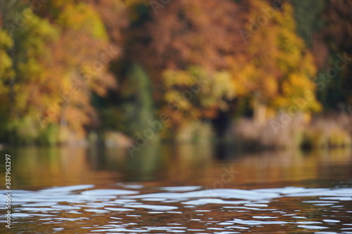 Autumnal Reflections in the Lake. High quality photo