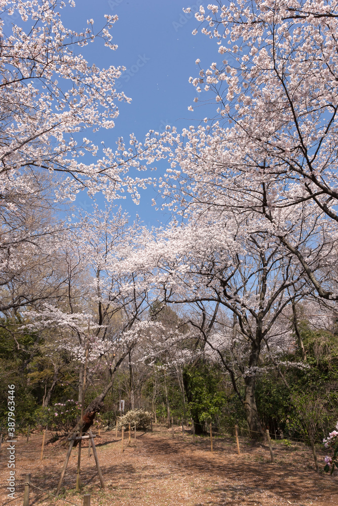 等々力渓谷公園（東京都世田谷区）