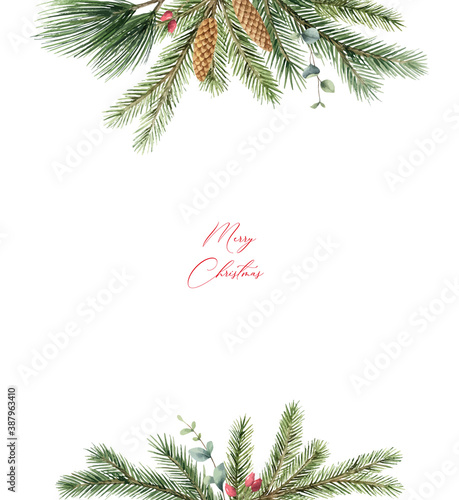Watercolor vector Christmas card with fir branches, cone and eucalyptus leaves.
