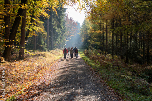 Herbst Sächsische Schweiz Sachsen Blätter Felsen Wald Weg Spazieren Spaziergang Autumn © modernmovie