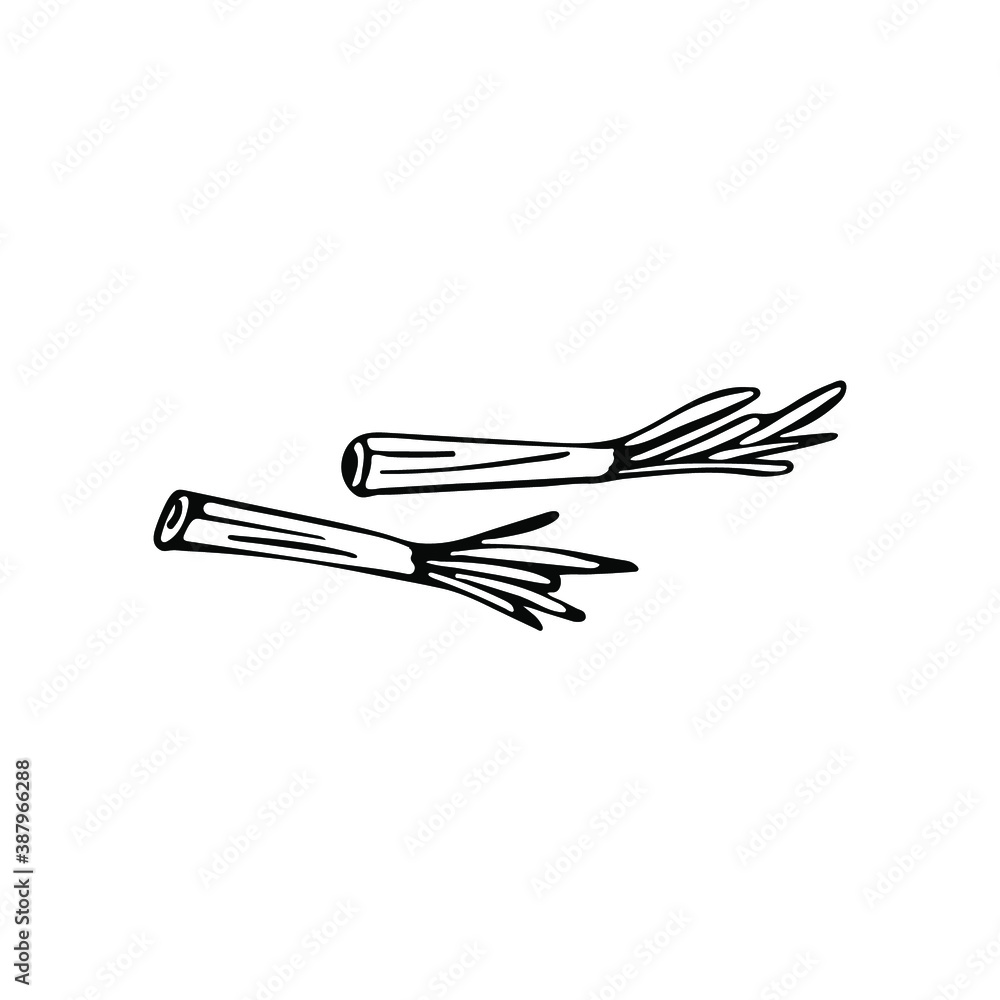 Hand drawn leeks in doodle style. Isolated on a white background.
Idea for logo, culinary design, food menu. Black and white vector image. Hand drawn leeks in doodle style. Isolated on a white background.
Idea for logo, culinary design, food menu. Black and white vector image.