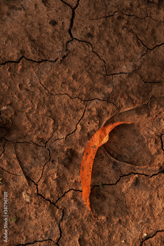 Fallen autumn leaf on dry cracked earth.