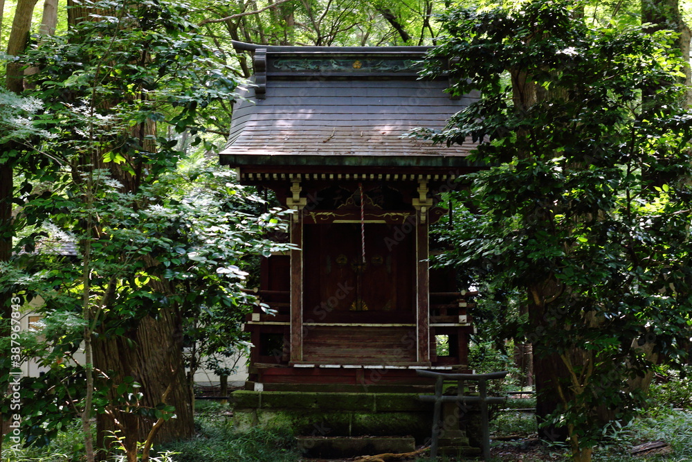 日本の埼玉県、初夏の平林寺の美しい自然の風景 日本の埼玉県、初夏の平林寺の美しい自然の風景