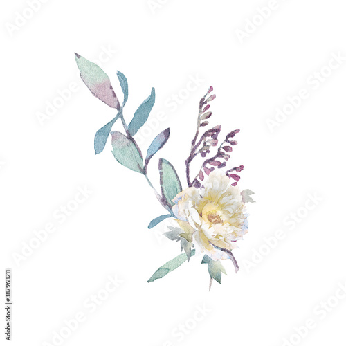Fototapeta Naklejka Na Ścianę i Meble -  Watercolor clip art with bouquets of peonies and herbs.