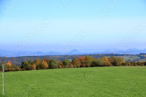 Meadow with grass and big autumn trees against blue sky in saxon switzerland © Dynamoland