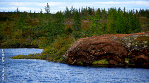 autumn in the tundra on the Taimyr Peninsula photo