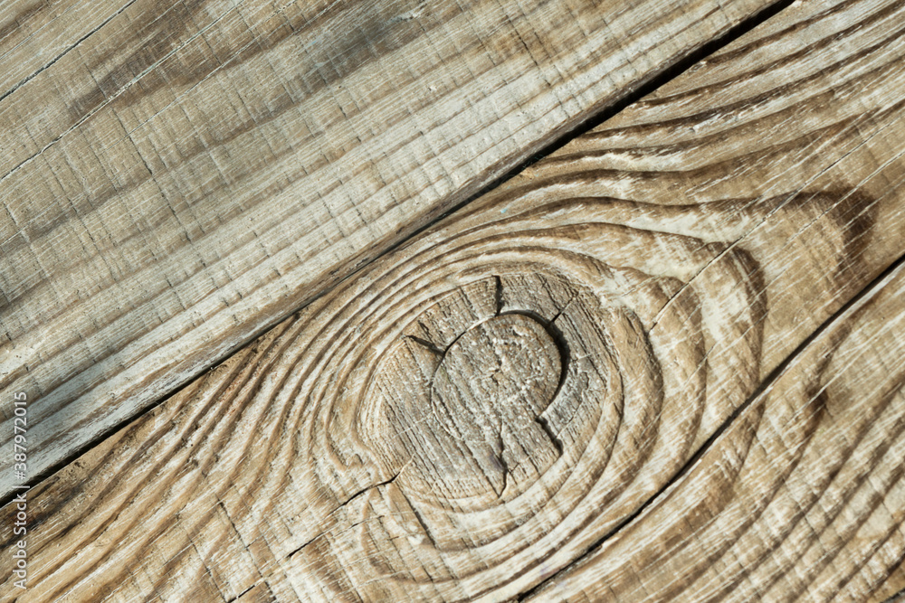 Fototapeta premium the texture of a wooden Board in place of a cut knot close up