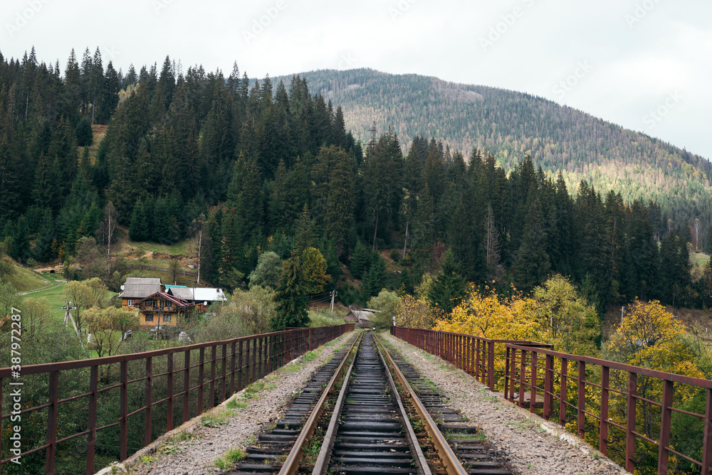 Railway bridge across a valley in the mountains in the typical Ukrainian village of Vorokhta near Hoverla, Carpathians. Railway bridge across a valley in the mountains in the typical Ukrainian village of Vorokhta near Hoverla, Carpathians.