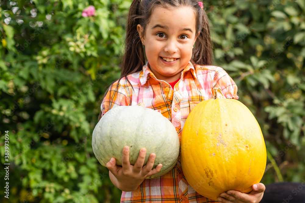 Fototapeta premium Little Girl With A Pumpkin in the garden