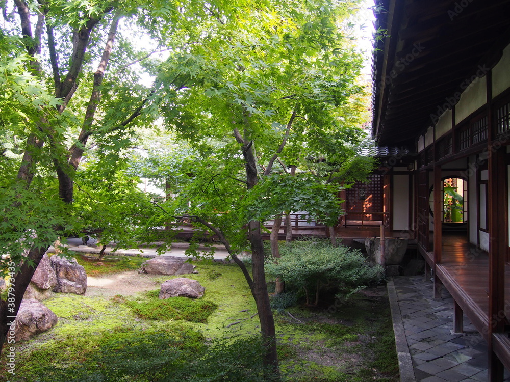 Zen garden at Kennin-ji temple, Kyoto, Japan