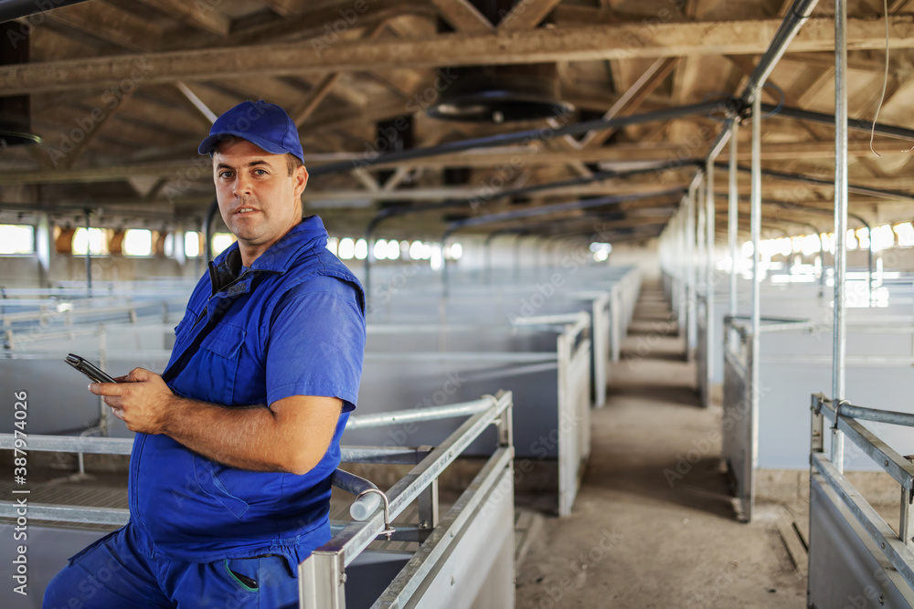 Farmer in working clothes standing and leaning. He is using smart phone for calling animal distributor. There is no animals in barn. Farmer in working clothes standing and leaning. He is using smart phone for calling animal distributor. There is no animals in barn.