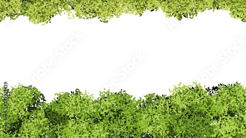 Green foliage pattern. Isolated tree leaves, spring summer banner template. Blooming bushes seamless vector texture. Illustration foliage border and leaf pattern striped