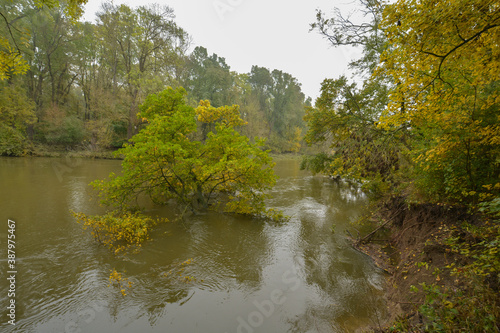 Nationalpark Hoenau an der narch bei Hochwasser im Herbst