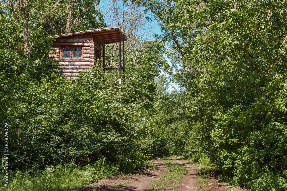 Wooden hunter watchtower in green summer forest on roadside of unpaved rural track
