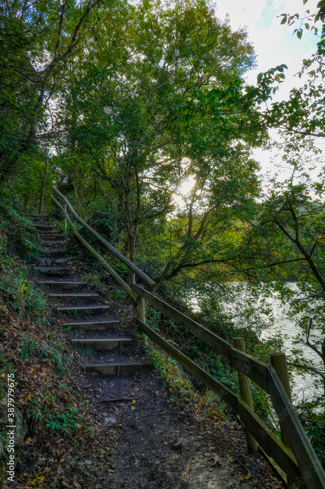 Treppenstufen auf einem Wanderweg am Rur-Staubecken in der Eifel Treppenstufen auf einem Wanderweg am Rur-Staubecken in der Eifel