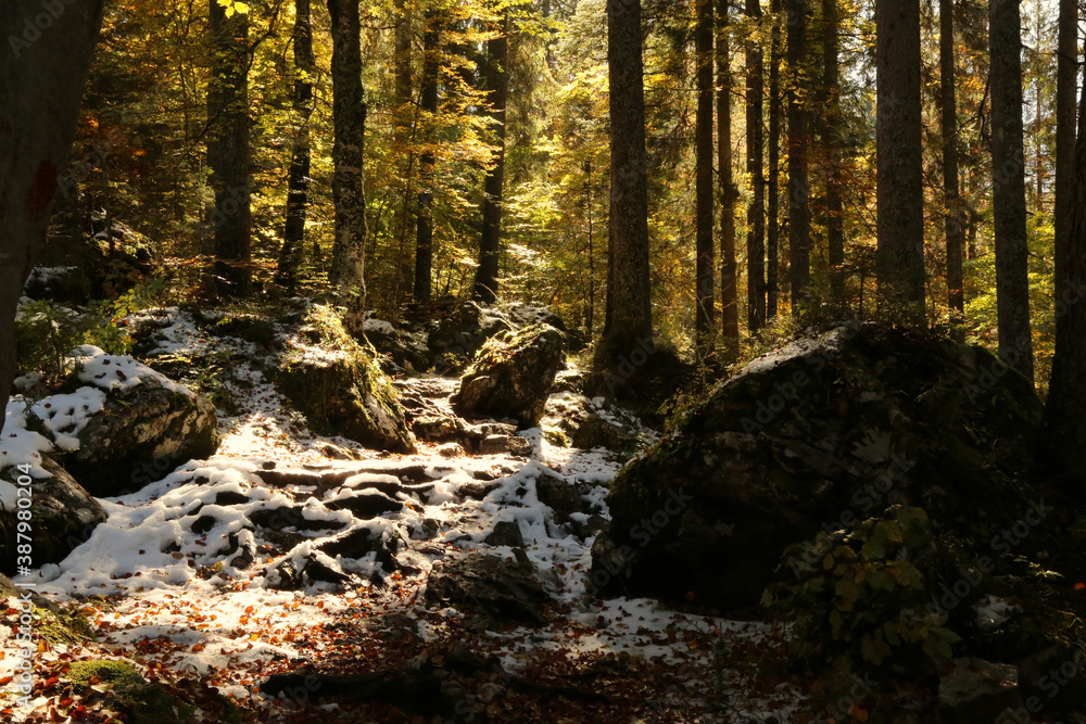 Autumn in the Fusine lakes Natural Park, Italy Autumn in the Fusine lakes Natural Park, Italy