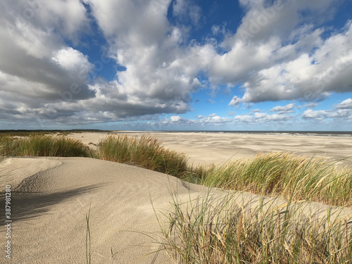 Dunes of island Schiermonnikoog in the Netherlands photo