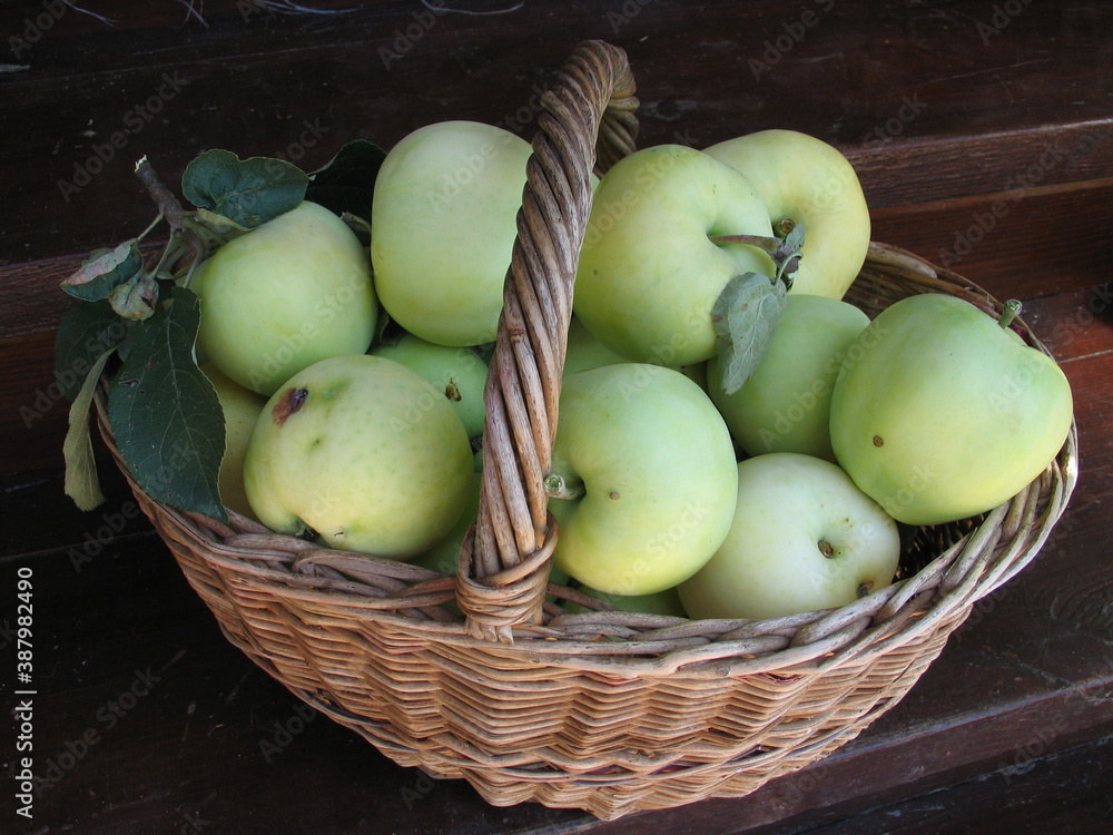he basket of apples
