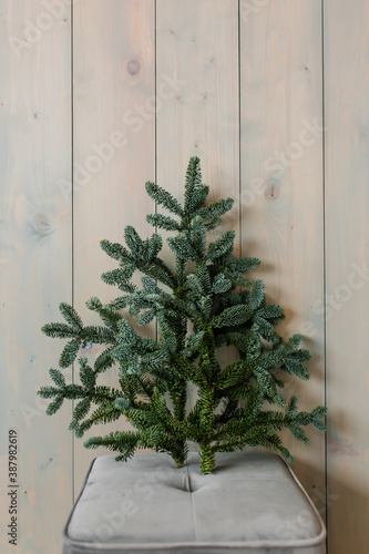 christmas tree on the wall
