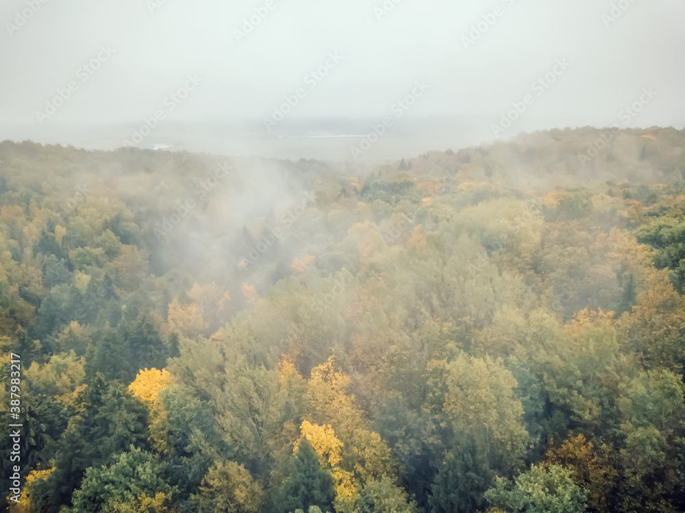 Top-down view of a colorful, beautiful autumn forest with fog in cloudy weather, photo from a drone.