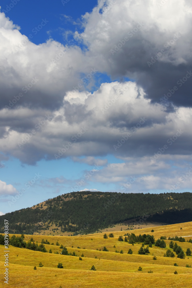 Fototapeta premium Mountain landscape,pasture and cloudy blue sky