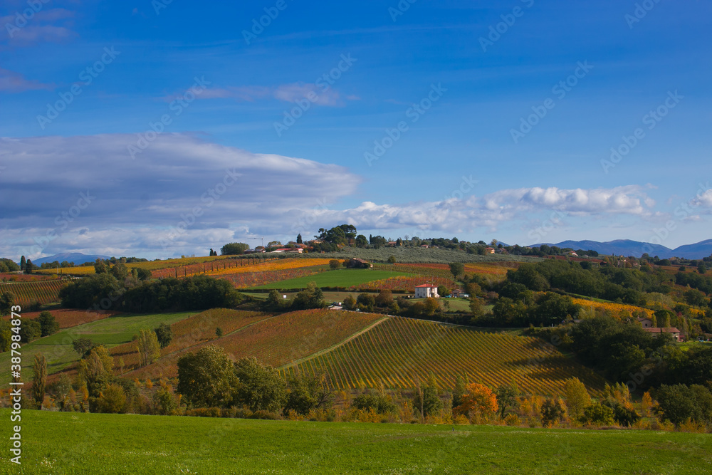 Beautiful view of umbria hills in the autumn season with vineyards