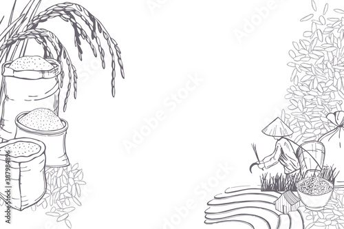 Hand drawn rice set.