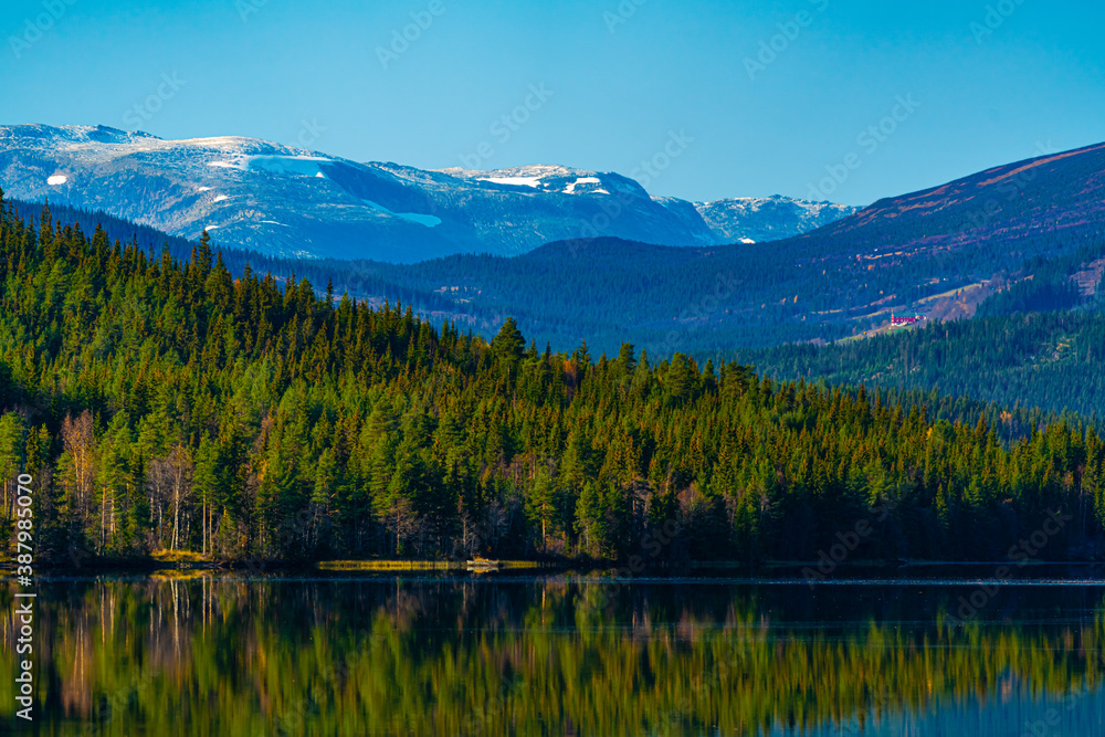 Calm lake surrounded by wild green pine forests and snowy mountain ranges in the distance.