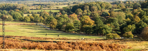 UK - Leicestershire - Bradgate Park