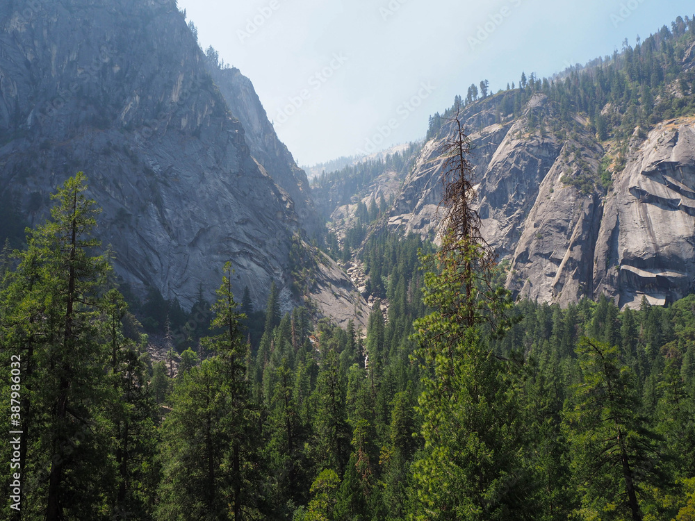 Beautiful Yosemite falls and the pine at Yosemite national park, National park in California, USA