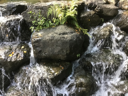 A small waterfall in the park