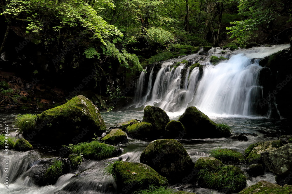 Fototapeta premium 長野県・蓼科大滝 (日本の滝)