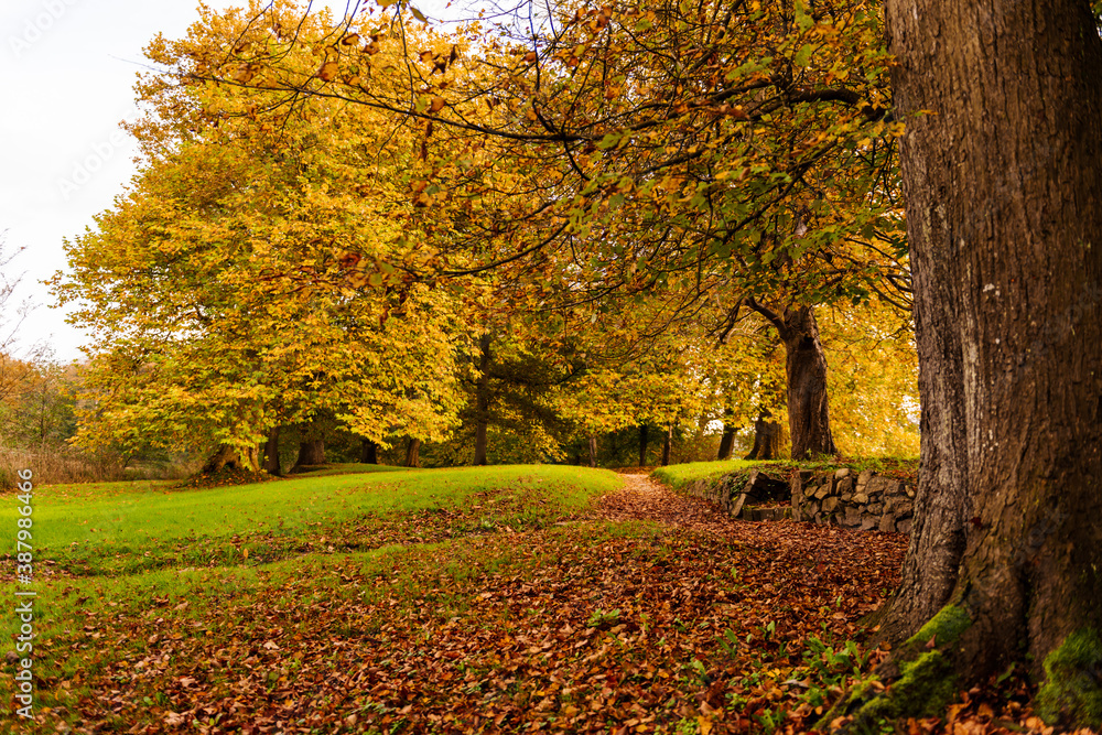 Herbstliche Impressionen aus Schleswig-Holstein im Oktober.