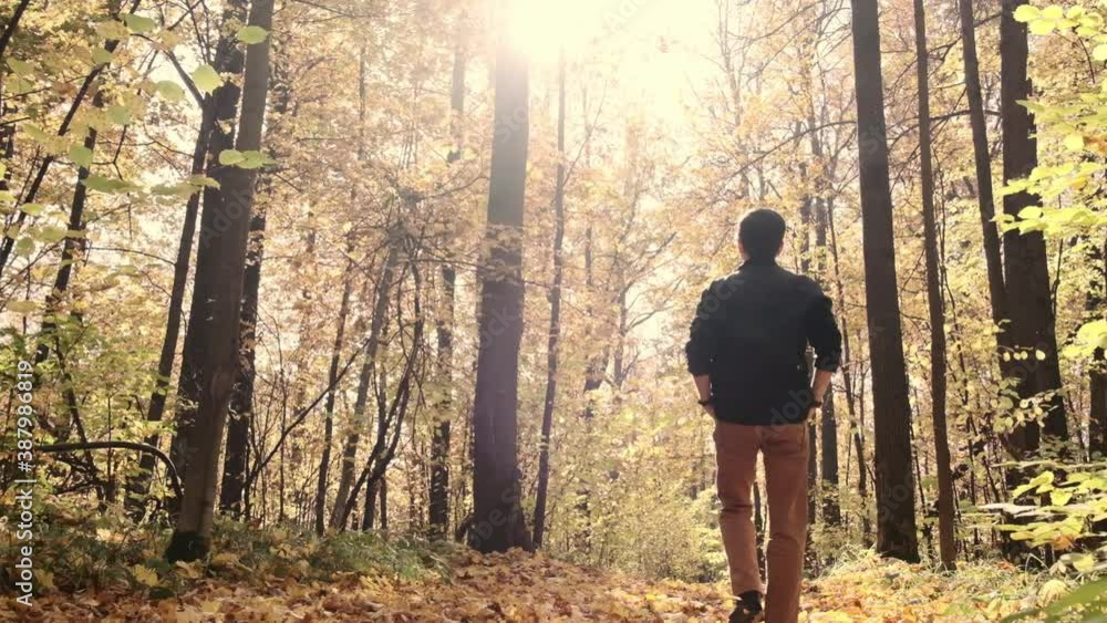 A young man walks in the autumn forest around the trees. Guy walks through the city park slow-motion video. High quality FullHD footage A young man walks in the autumn forest around the trees. Guy walks through the city park slow-motion video. High quality FullHD footage