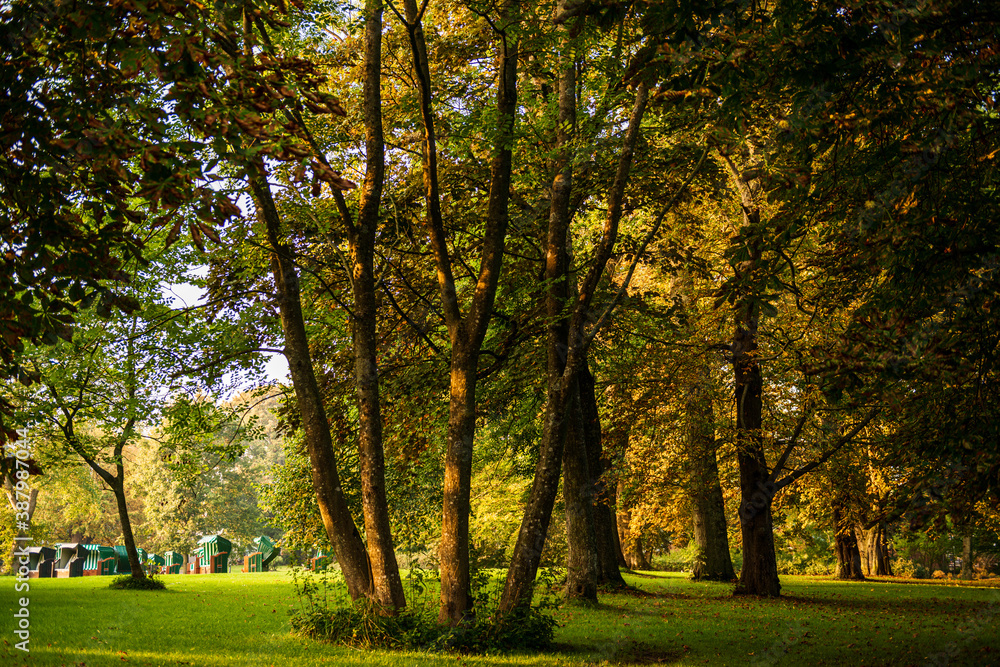 Fototapeta premium Herbstliche Impressionen aus Schleswig-Holstein im Oktober.